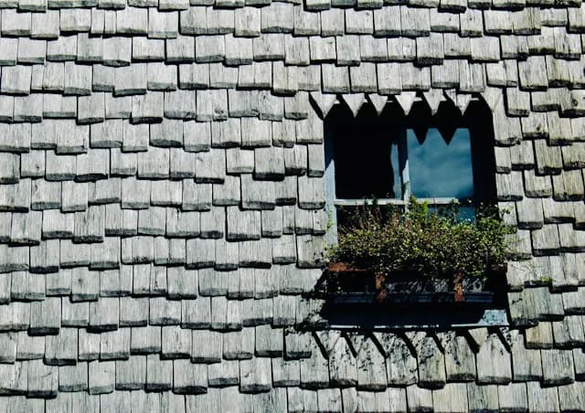 Démoussage de toiture à Montpinchon - photo 2